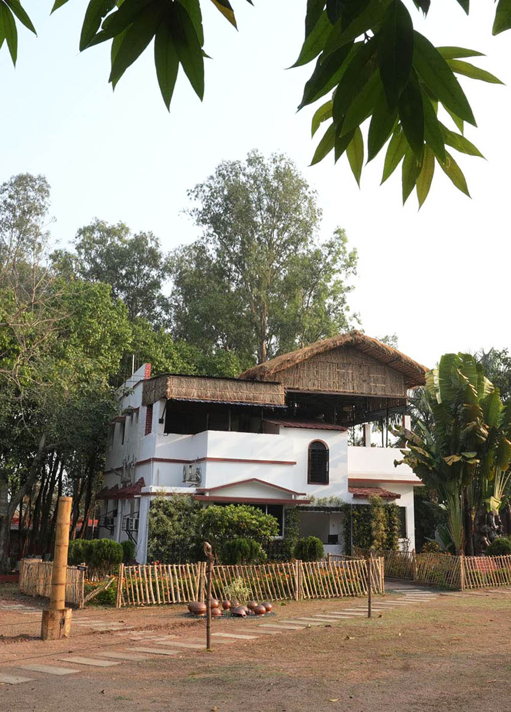 Babbler - A Jungle Resort